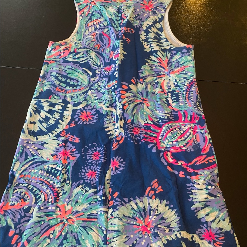 Lilly dress size 8-10